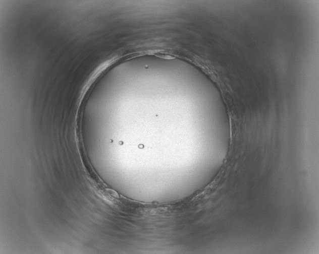 X0000053110147200508081234