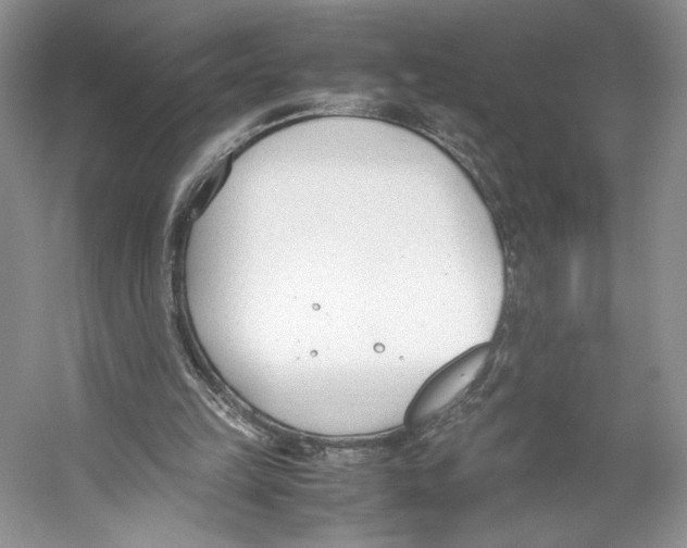 X0000053110149200508081234