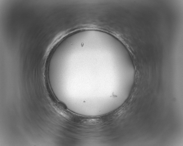 X0000053110151200508081234