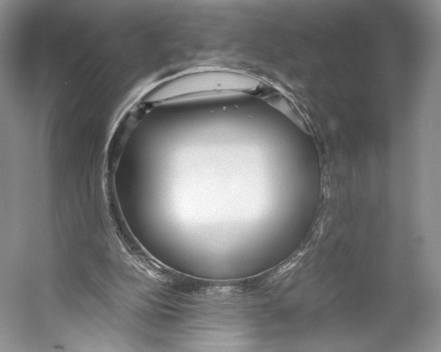 X0000053110152200508081234