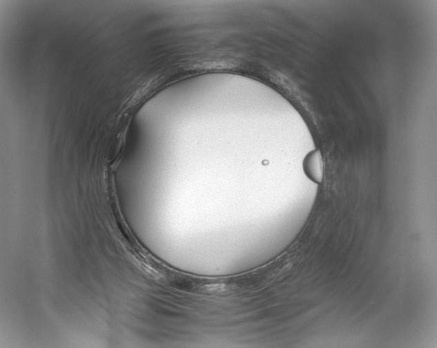 X0000053110153200508081234