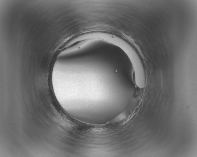 X0000053110154200508081234