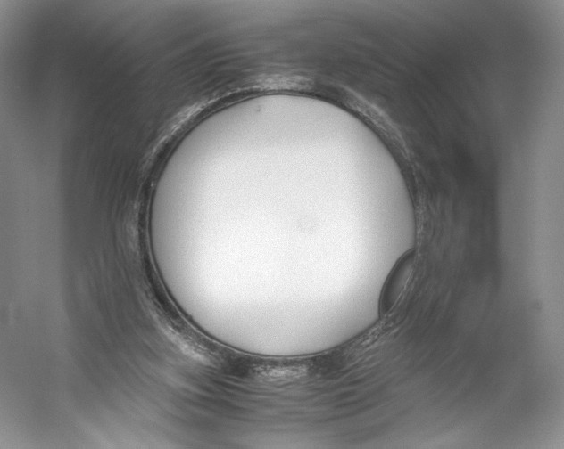 X0000053110155200508081234