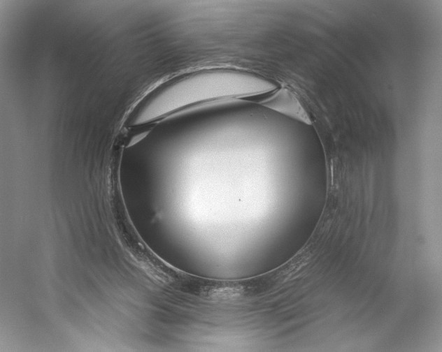 X0000053110156200508081234