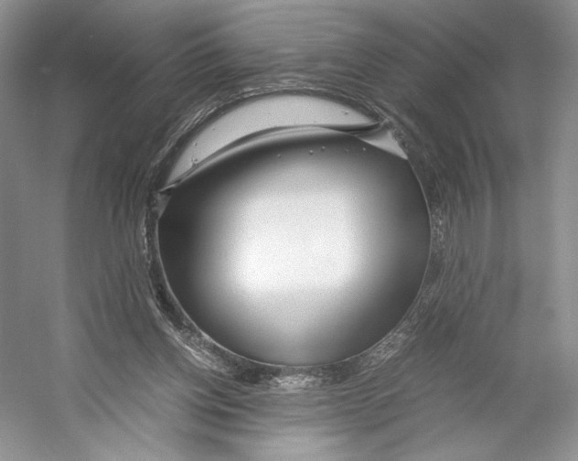 X0000053110158200508081234