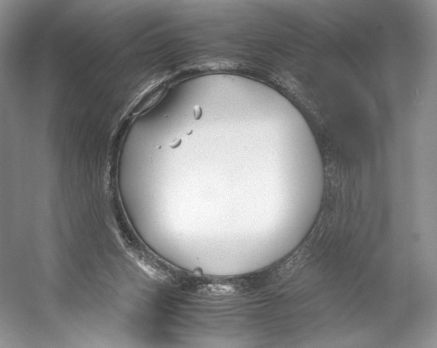 X0000053110159200508081234