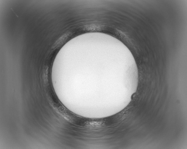 X0000053110163200508081235