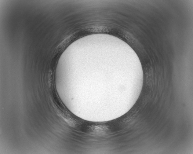 X0000053110165200508081235