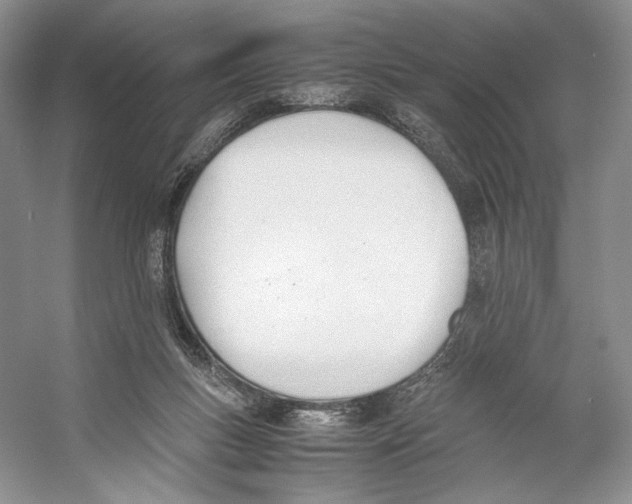 X0000053110167200508081235