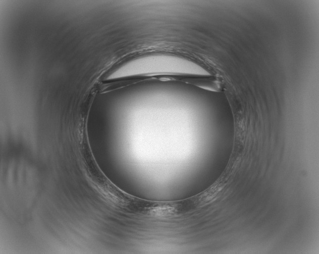 X0000053110168200508081235