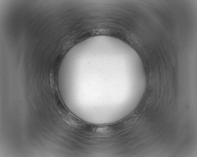 X0000053110173200508081235