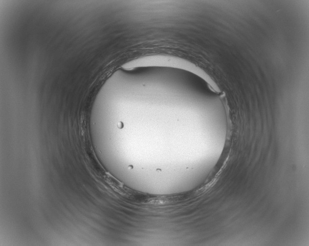 X0000053110174200508081235