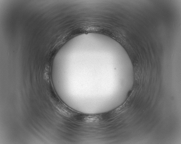 X0000053110175200508081235