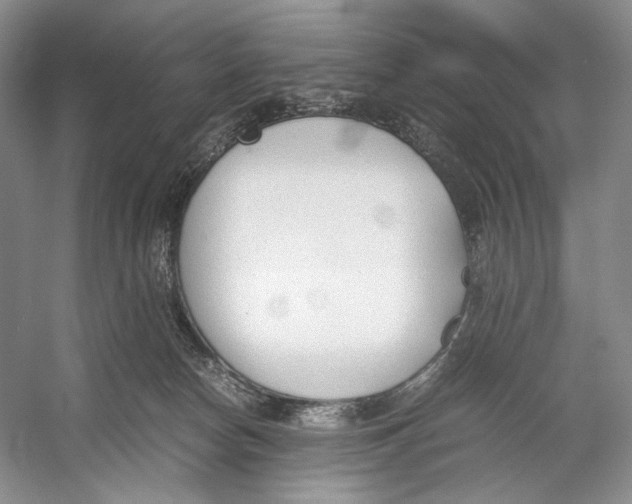 X0000053110178200508081235