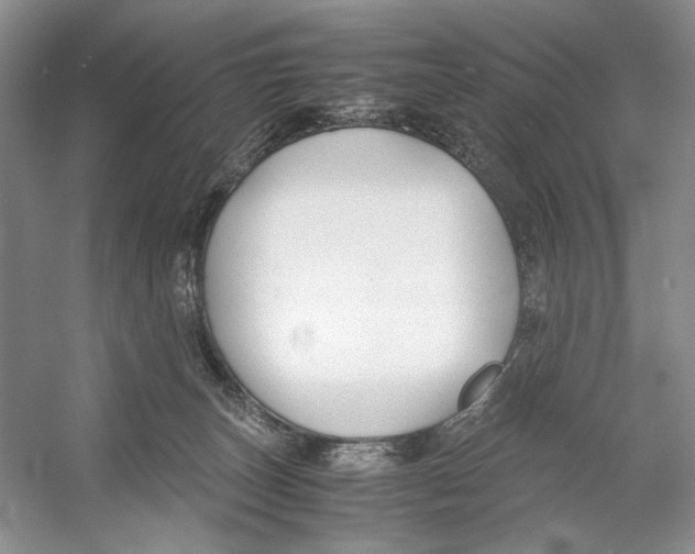 X0000053110179200508081235