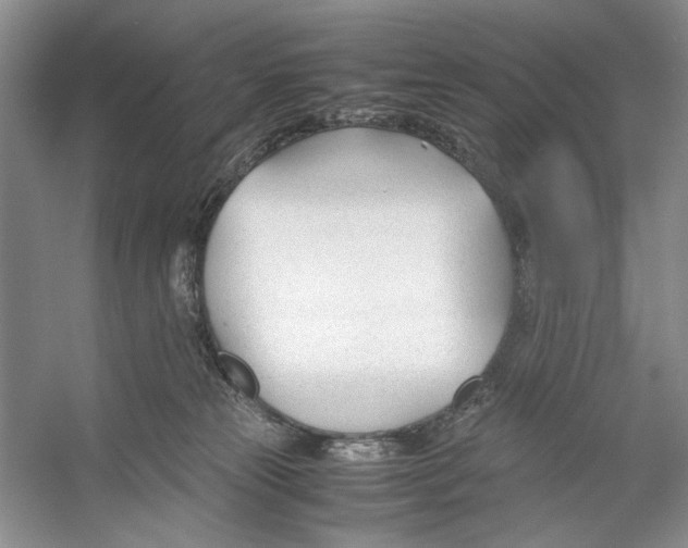 X0000053110181200508081235