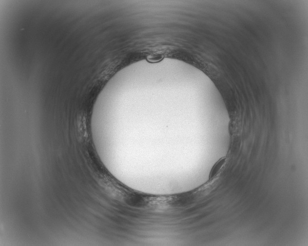 X0000053110182200508081235