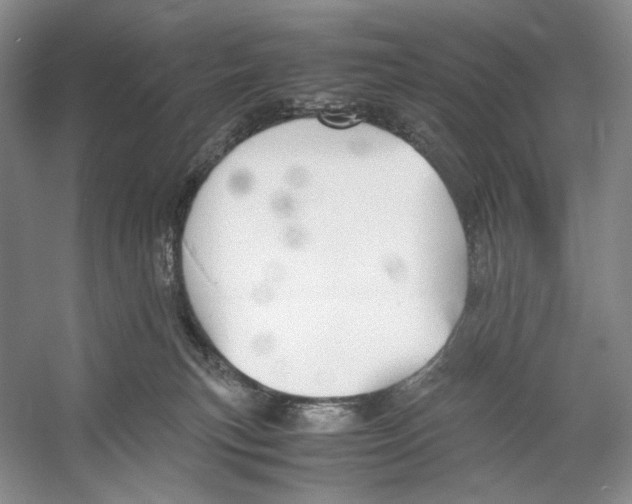 X0000053110183200508081235