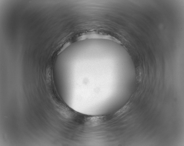 X0000053110184200508081235