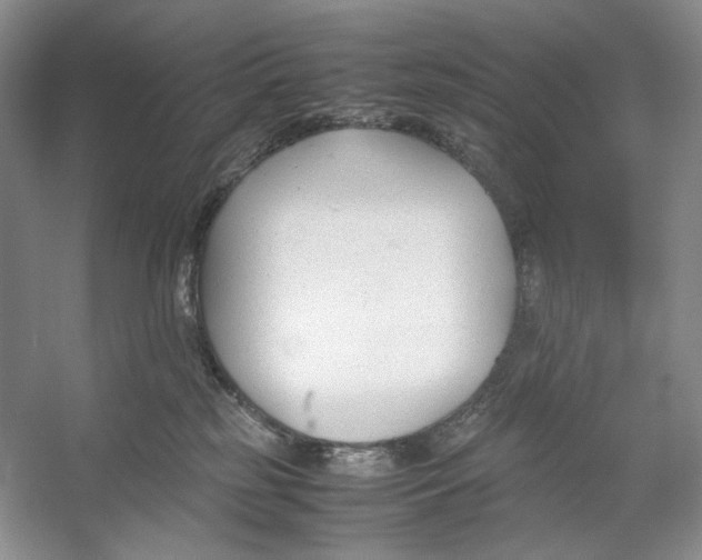 X0000053110185200508081235