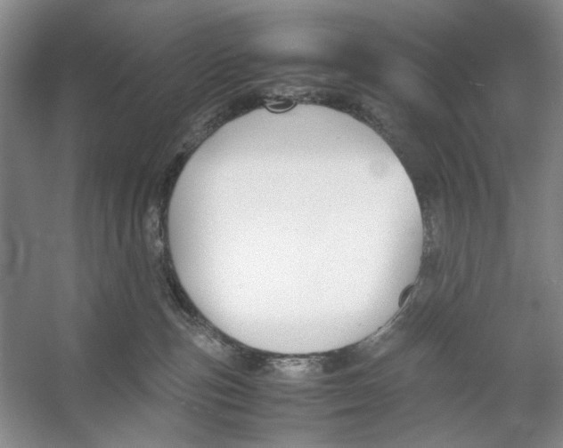 X0000053110187200508081235