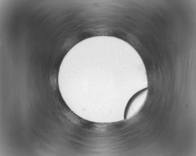 X0000053110190200508081235