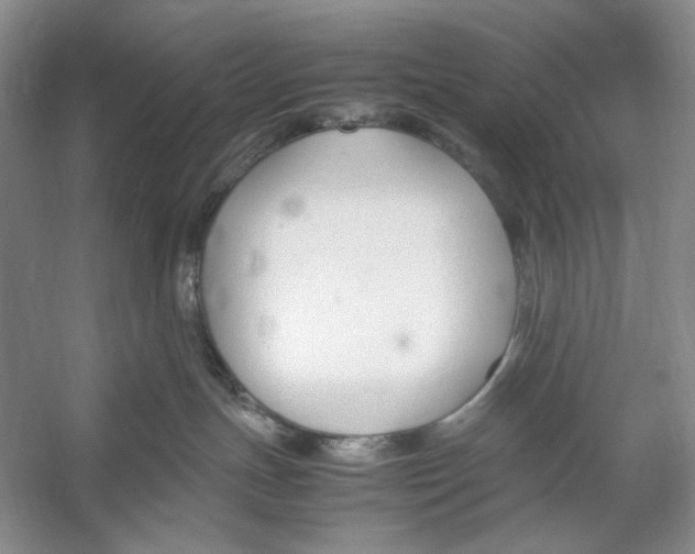 X0000053110191200508081235