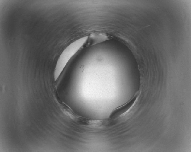 X0000053110192200508081235