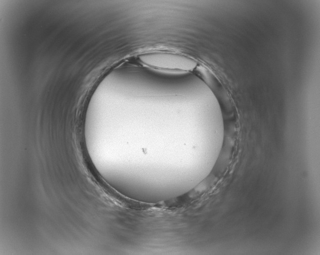 X0000053110193200508081234