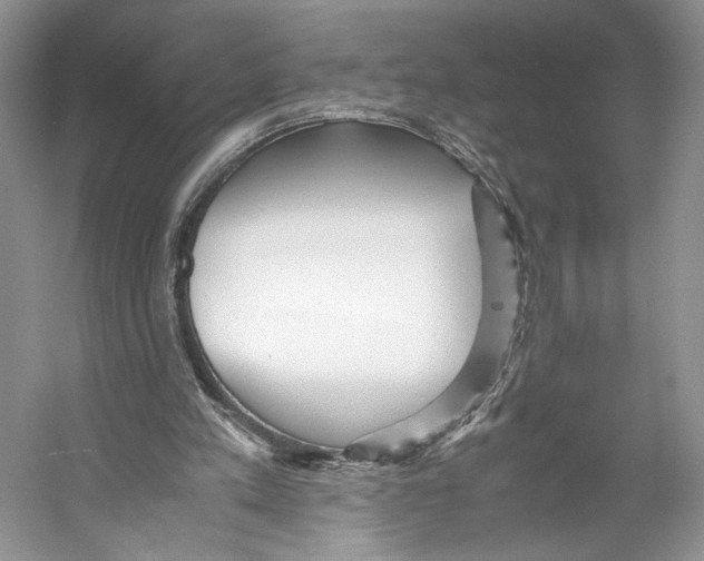 X0000053110197200508081234