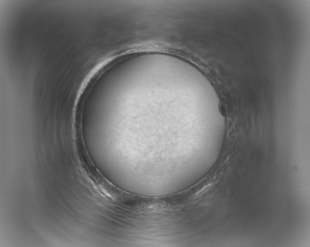 X0000053110200200508081234