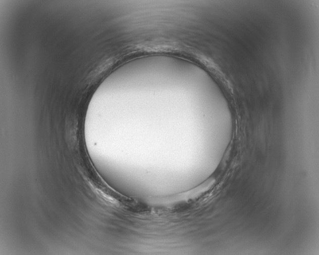 X0000053110201200508081234