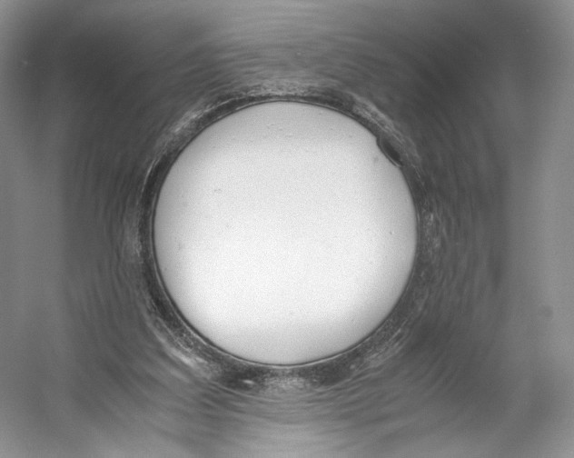 X0000053110203200508081234