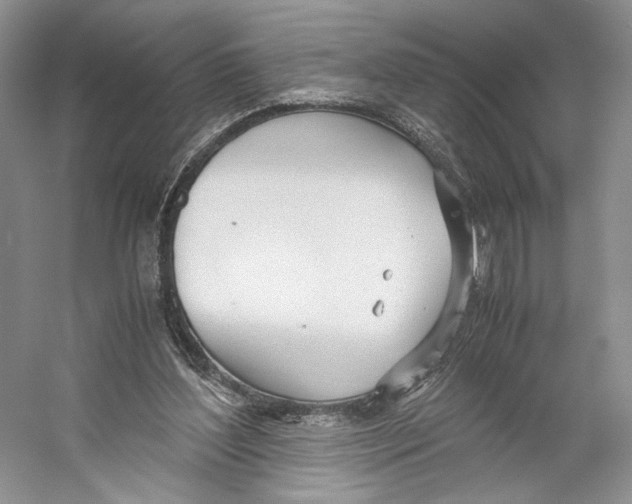 X0000053110204200508081234