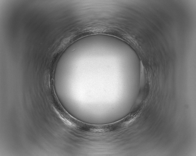 X0000053110205200508081234