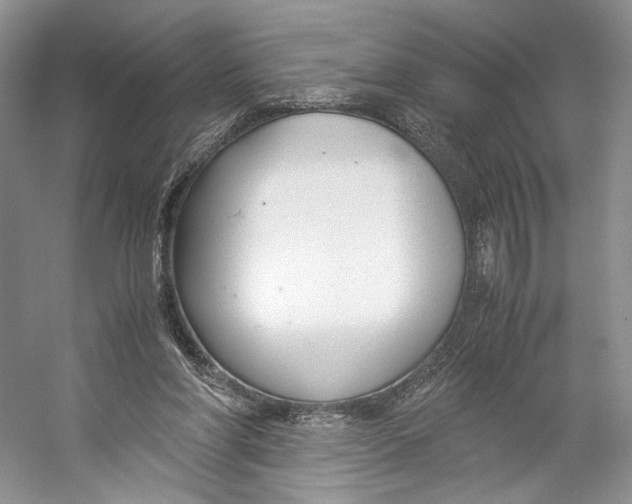 X0000053110206200508081234