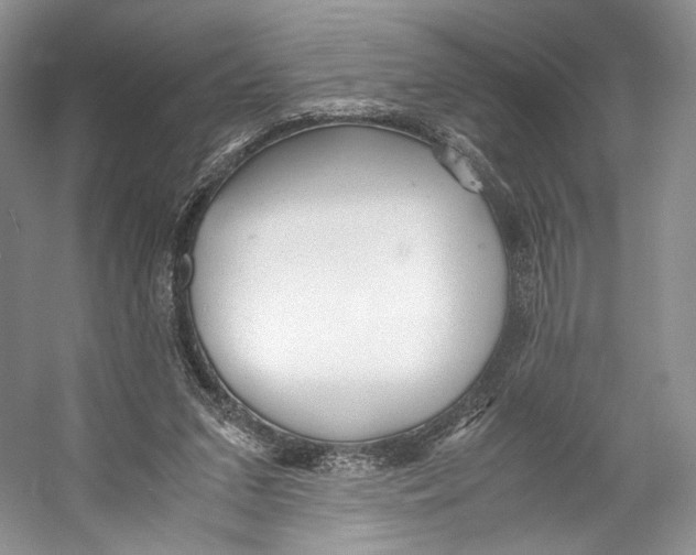 X0000053110207200508081234