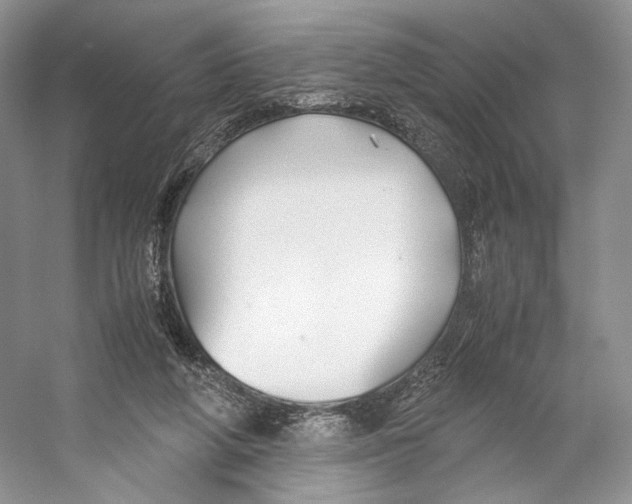 X0000053110210200508081234