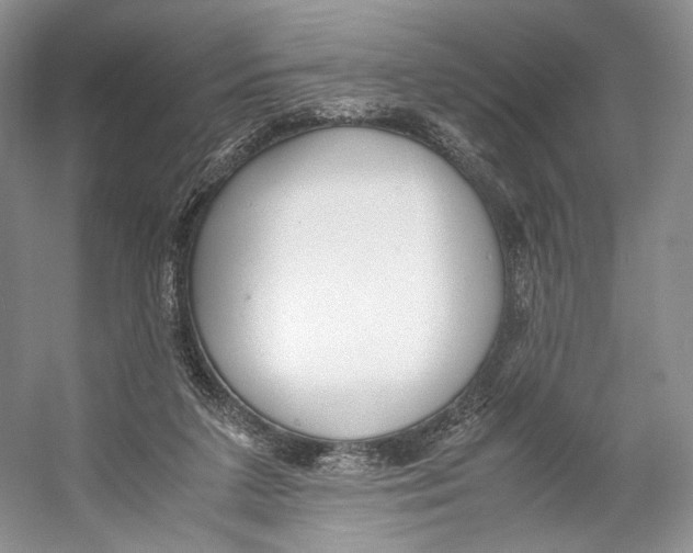 X0000053110211200508081234