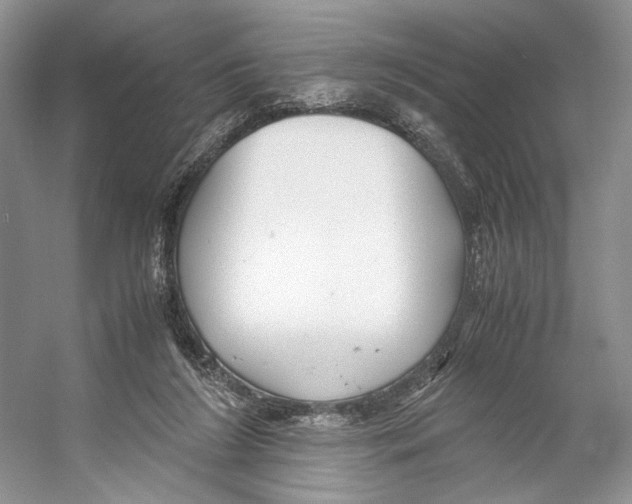 X0000053110212200508081234