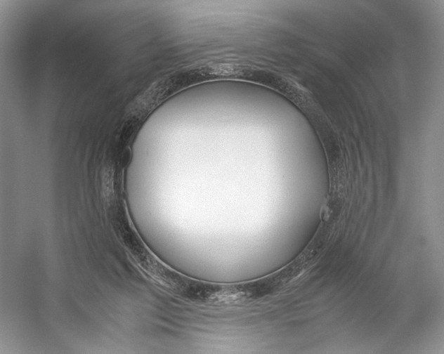 X0000053110213200508081234