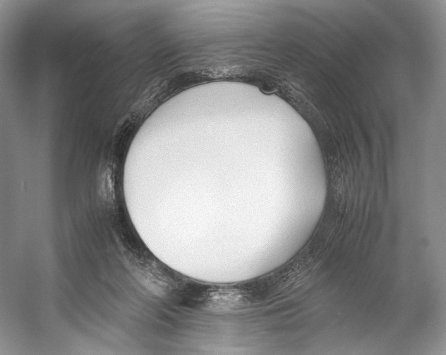 X0000053110214200508081234