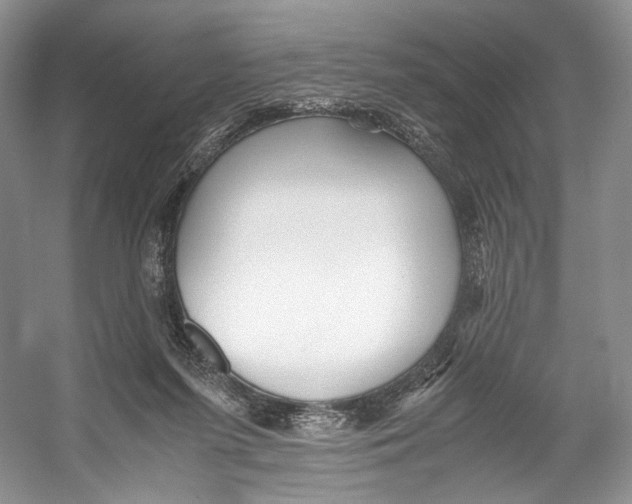 X0000053110215200508081234