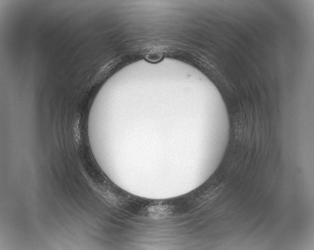 X0000053110216200508081234