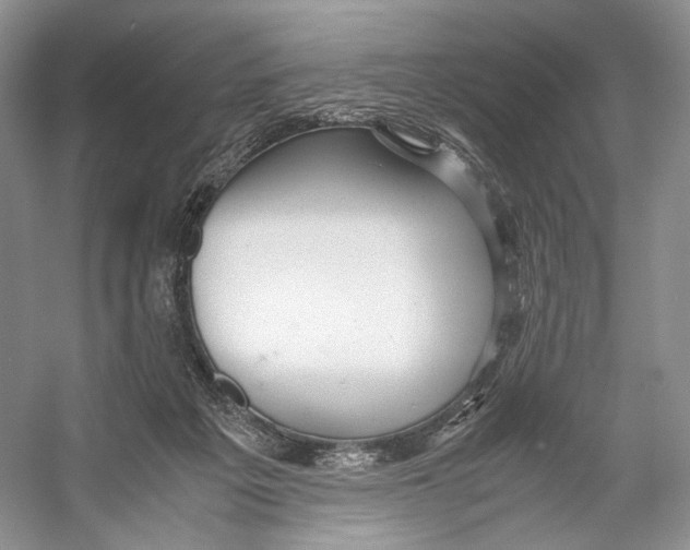 X0000053110217200508081234