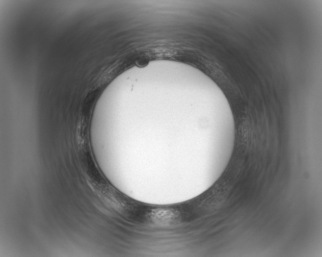 X0000053110218200508081234