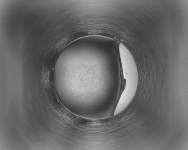 X0000053110219200508081234