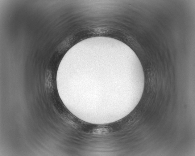 X0000053110220200508081234