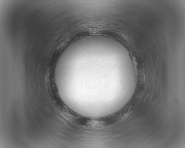 X0000053110221200508081234