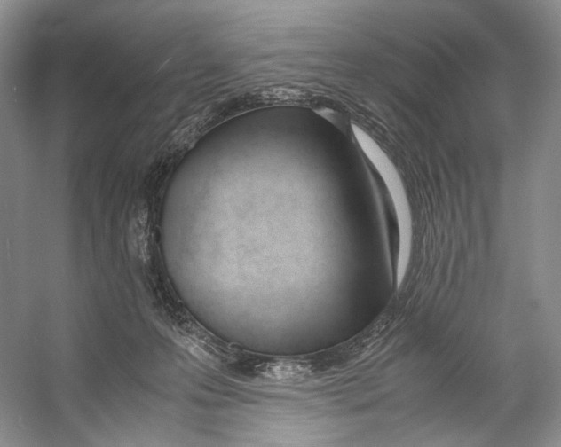 X0000053110223200508081234